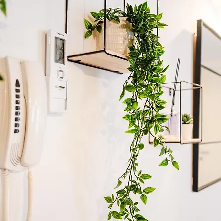 Διαμέρισμα Loft 261 *